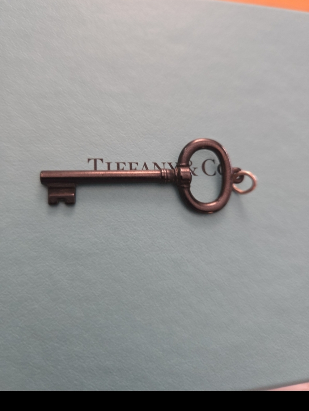 Tiffany & Co. Titanium Key Pendant